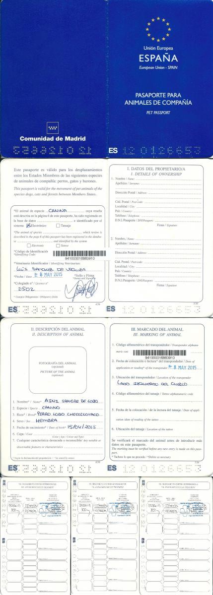 perro_lobo_checoslovaco_aini_sangre_de_lobo_pasaporte_europeo_puppy