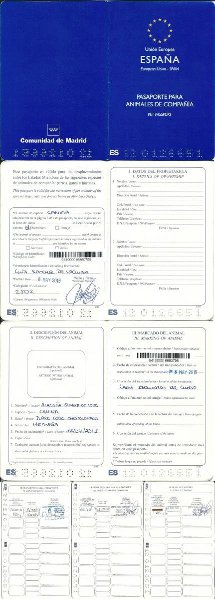 perro_lobo_checoslovaco_alassea_sangre_de_lobo_pasaporte_europeo