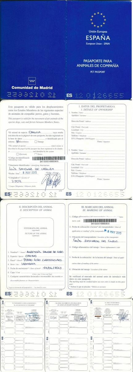 perro_lobo_checoslovaco_auressel_sangre_de_lobo_pasaporte_europeo_puppy