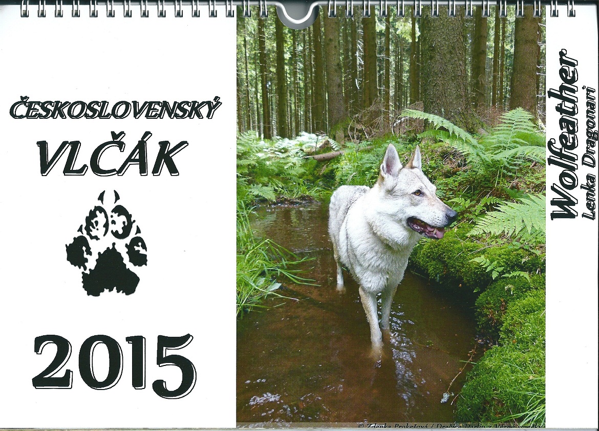 perro_lobo_checoslovaco_calendario_lenka_dragonari_2015_00_front