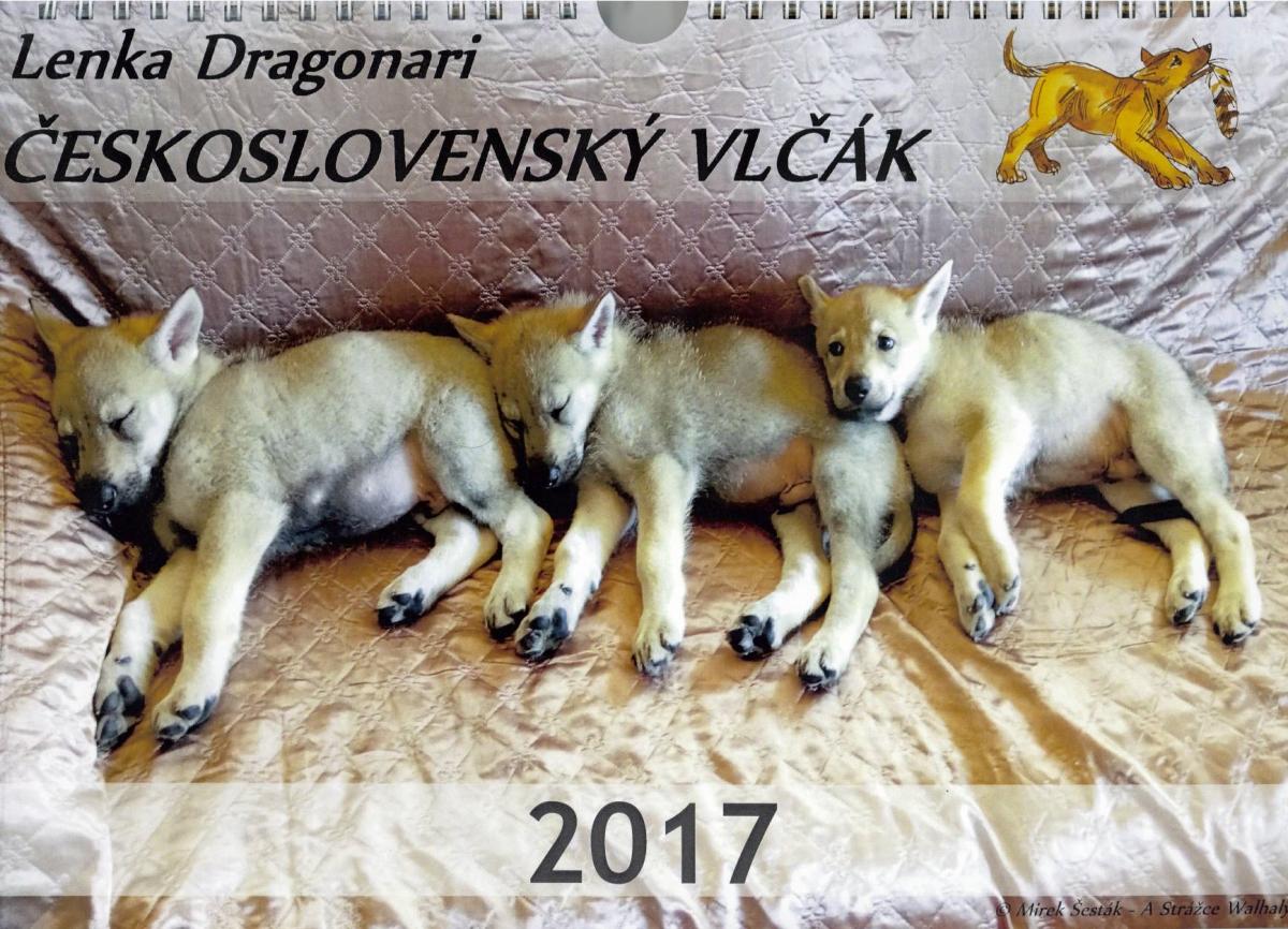 perro_lobo_checoslovaco_calendario_lenka_dragonari_2017_00_front