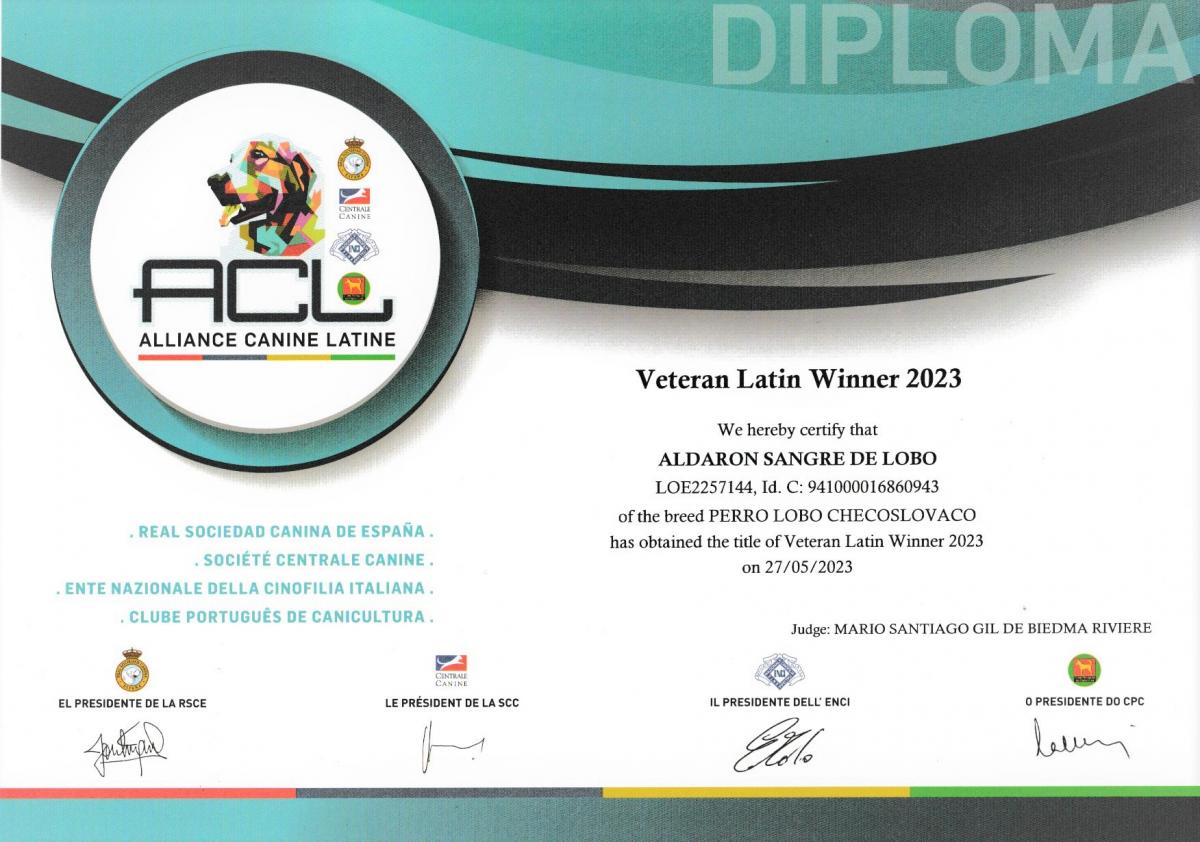 veteran_latin_winner_aldaron_sangre_de_lobo